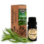 Tarragon essential oil