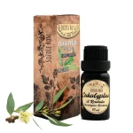 Eucalyptus Radiata essential oil