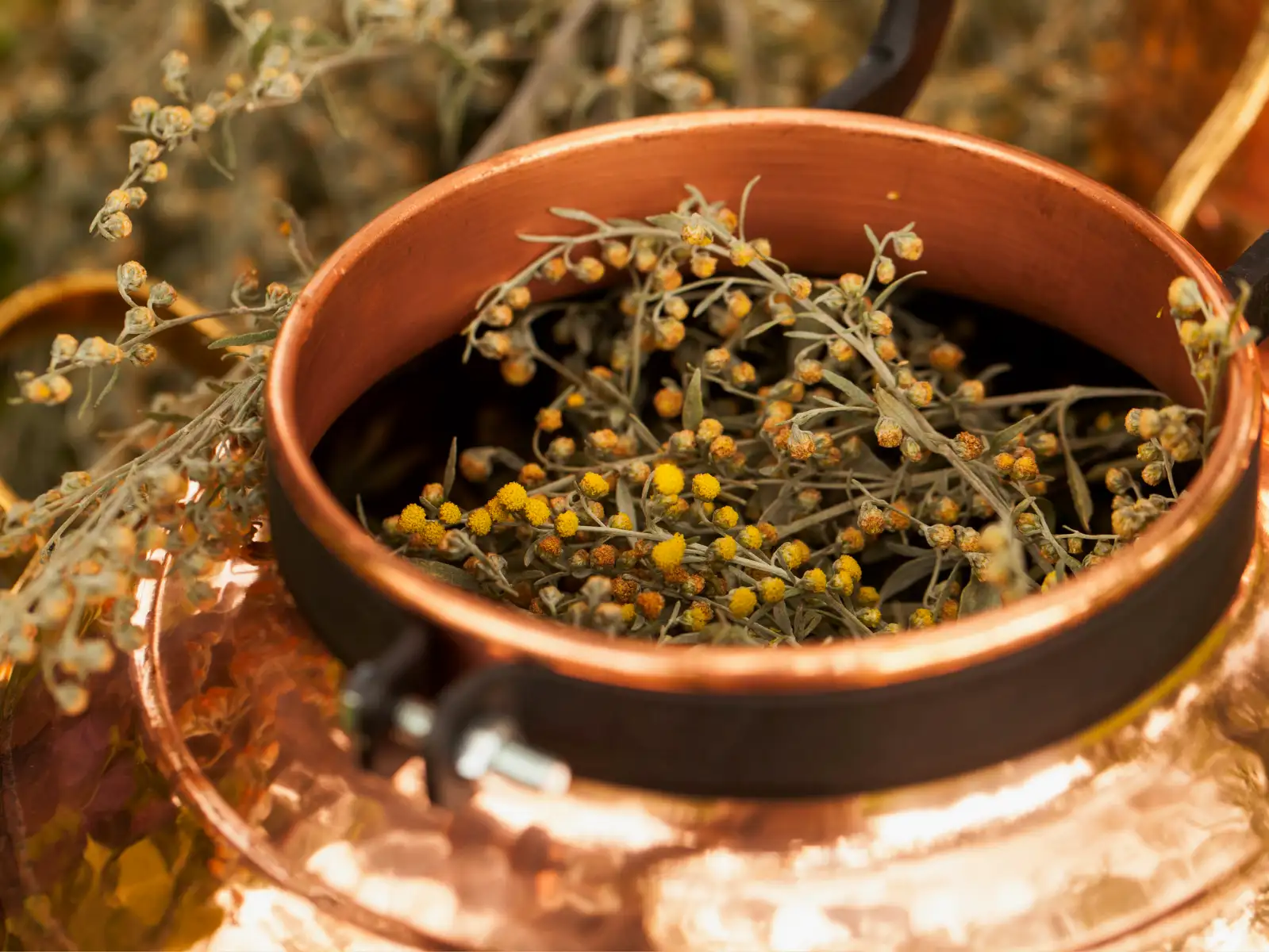 Rare essential oils