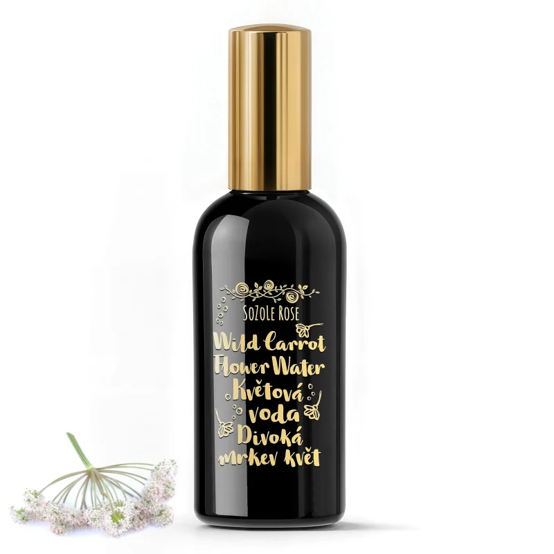 Wild Carrot flower water in a 100 ml spray bottle, SoZoLe Rose