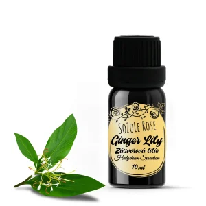 Ginger Lily Kapoor Kachri Essential Oil from India