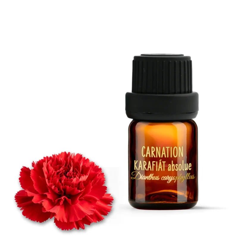 Carnation Absolute from Egypt 2ml SoZoLe Rose