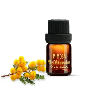 Mimosa Absolute from Morocco